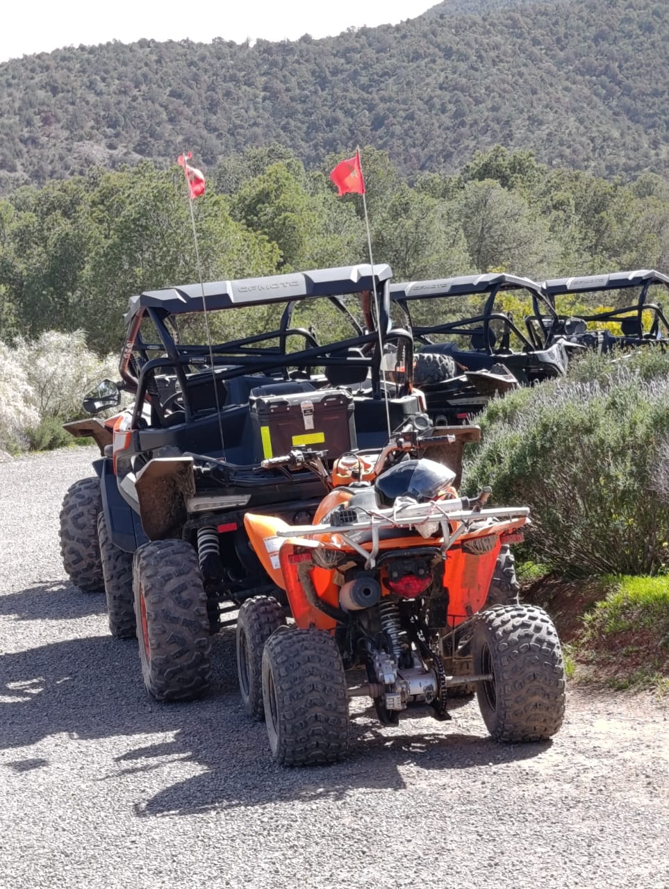 Atlas — Quad Fox Marrakech