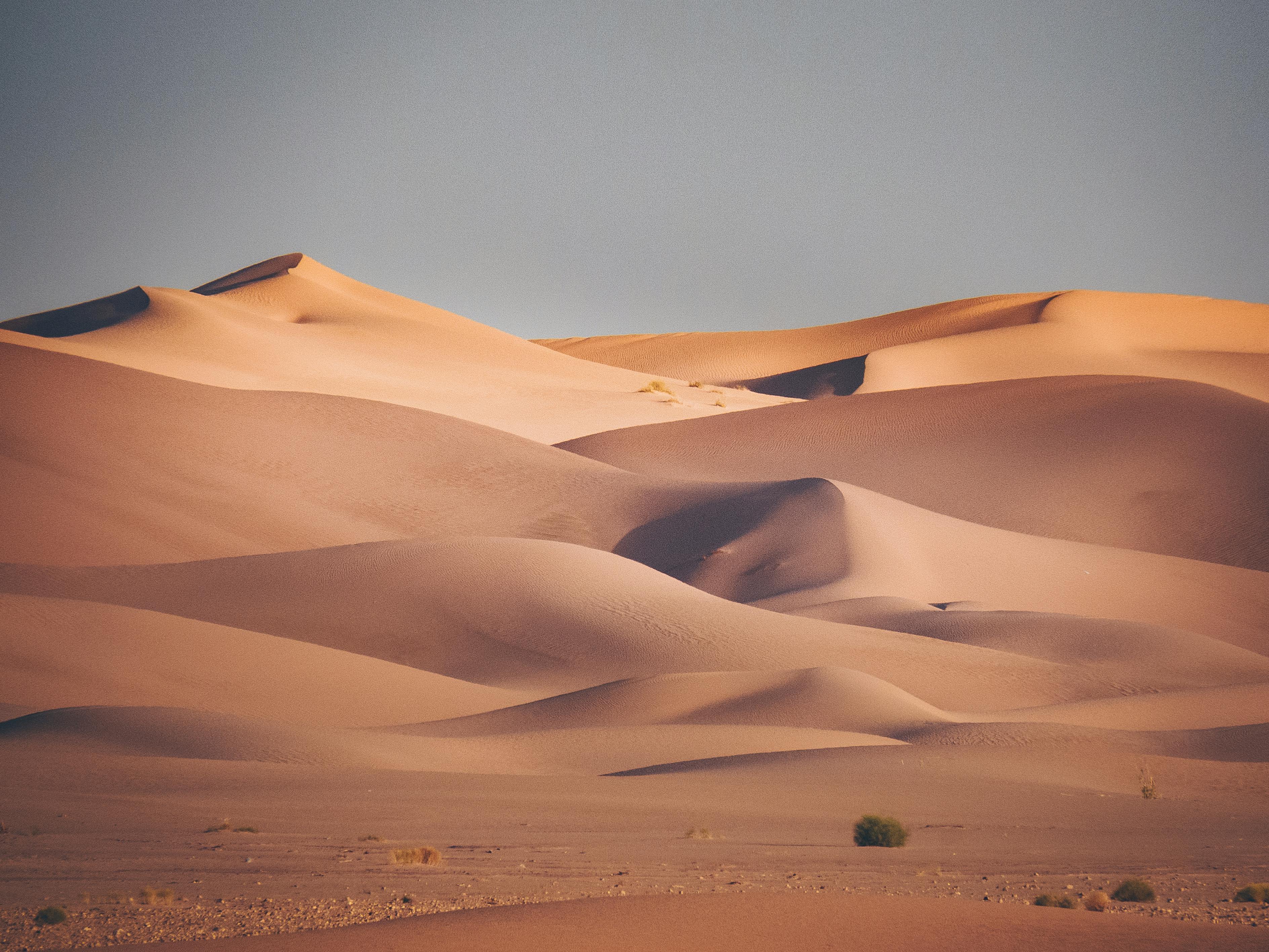 Sahara — Quad Fox Marrakech